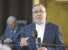 LE SECTEUR MINIER EN ALGÉRIE : Pilier de la souveraineté et levier de diversification