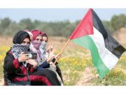 De l’Algérie d’hier aux luttes d’aujourd’hui : Quand la guerre frappe, les femmes tiennent debout