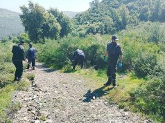 En prévision de la campagne de prévention et de lutte contre les feux de forêt : La Conservation des forêts de Blida lance des opérations anticipatives