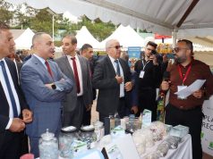 Salon de l’emploi et de l’entrepreneuriat à Tipasa : Plus de 80 exposants à la 1re édition