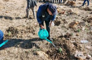 Blida : Mise en terre de plus de 305.000 plants, objectifs » largement dépassés «