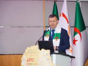 COOPÉRATION ÉCONOMIQUE EN AFRIQUE : Le sens d’une ouverture sur le continent