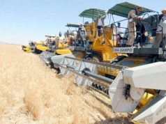 Blida : Préparatifs précoces pour la réussite de la campagne moisson-battage
