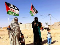 SAHARA OCCIDENTAL : Un expert onusien réaffirme le droit à l’autodétermination