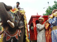Bollywood : Une campagne pour interdire les éléphants des plateaux de cinéma