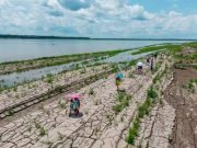 VAGUES DE CHALEUR, SECHERESSE ET FORTES PLUIES : L’ONU alerte sur un événement météorologique extrême cet été