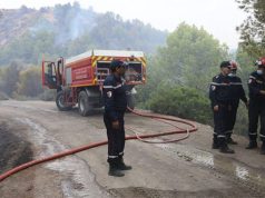 LUTTE CONTRE LES FEUX DE FORÊT : Performances remarquables de la Protection civile