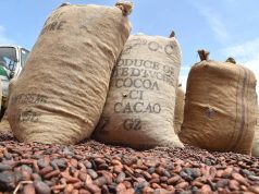 Quatre pays africains annoncent la création de l’Alliance pour la valorisation du cacao