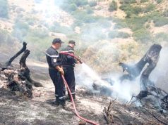 FACE AUX FEUX DE FORÊTS : Prévention, prudence et vigilance