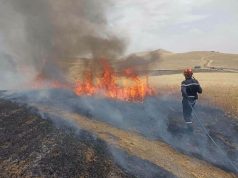CANICULE ET FEUX DE FORÊT : La Protection civile en alerte maximale
