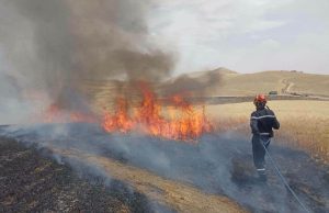 CANICULE ET FEUX DE FORÊT : La Protection civile en alerte maximale
