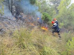 PROTECTION CIVILE : 147 départs de feu en 24 heures