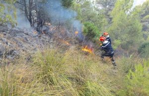 PROTECTION CIVILE : 147 départs de feu en 24 heures