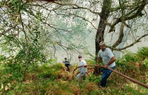 FEUX DE FORÊT : La Protection civile salue l’élan de solidarité des citoyens