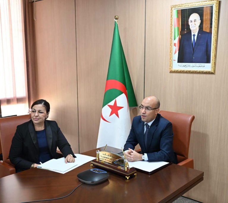SOFIANE CHAÏB À LA RÉUNION DU MAEP : « L’Algérie engagée à renforcer la coopération africaine »