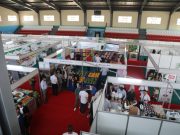 Salon national des fruits destinés à l’exportation : Coup d’envoi de la première édition à Sidi Bel-Abbès