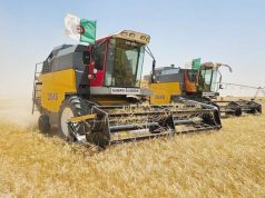 Tizi-Ouzou : Mise en place d’une cellule de suivi de la campagne moisson-battage