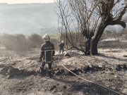 INCENDIES DE FORÊT : 127 feux sur 146 départs maîtrisés