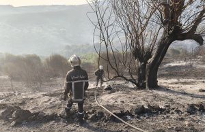INCENDIES DE FORÊT : 127 feux sur 146 départs maîtrisés