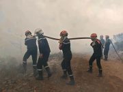 PROTECTION CIVILE : Plus de 140 incendies totalement maîtrisés en 48h