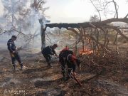 Incendies : Trois jours de deuil national