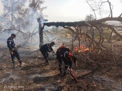 Incendies : Trois jours de deuil national