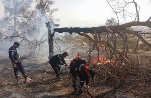 Incendies : Trois jours de deuil national