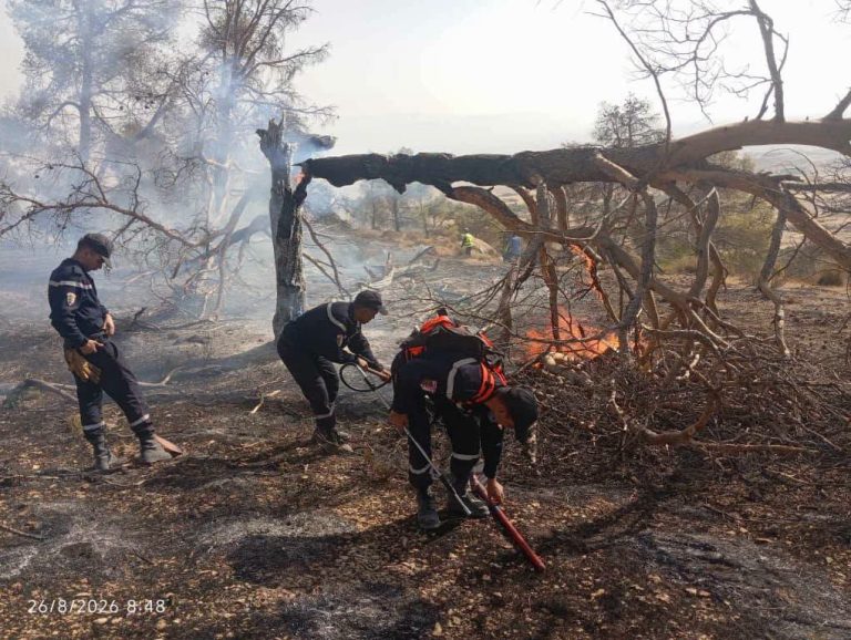 Incendies : Trois jours de deuil national