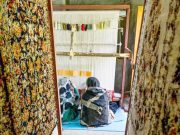 Inde : Les ventes des célèbres tapis du Cachemire s’effilochent