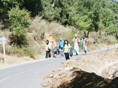 Zones touchées par les incendies à Guelma : Les habitants reprennent leur rythme de vie habituel