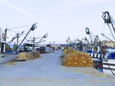 Mostaganem : Un nouveau port de pêche et de plaisance en projet à Stidia