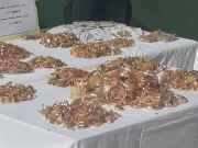 Une tentative de contrebande de 7 kg d’or et 20 000 euros déjouée à l’aéroport d’Oran