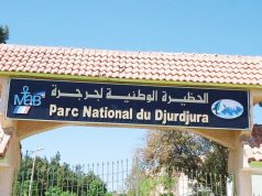Parc national du Djurdjura : Opération nettoyage au plateau d’Aswel