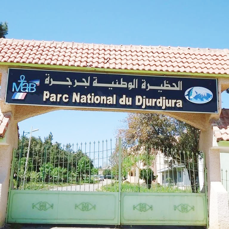 Parc national du Djurdjura : Opération nettoyage au plateau d&rsquo;Aswel