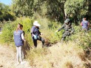 Tizi Ouzou : Vaste opération de nettoyage de la forêt de Mizrana