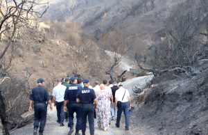 INCENDIES : Le recensement des agriculteurs sinistrés touche à sa fin