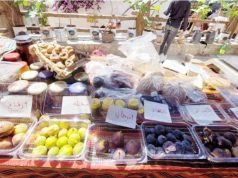 Beni Djellil (Béjaïa) célèbre la figue : Un carrefour pour le développement économique et le terroir