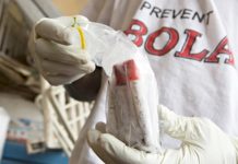 Face à la propagation d’Ebola : L’OMS exhorte le Zimbabwe au renforcement de ses systèmes de surveillance