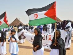 INDÉPENDANCE DU PEUPLE SAHRAOUI : Appel à mettre fin à un demi-siècle d’attente