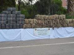 LUTTE CONTRE LE TRAFIC DE DROGUE : 1 660 kg de kif traité saisis à Béchar