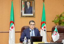 Épidémie d’Ebola : Alger appelle à créer une plateforme numérique africaine
