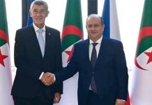 ACCORDS POUR LA CRÉATION D’UN CONSEIL D’AFFAIRES ET de COOPÉRATION DANS LES DOMAINES DE LA PROTECTION CIVILE, DE LA GÉOLOGIE ET DU CINÉMA : L’Algérie renforce son partenariat avec la Tchéquie