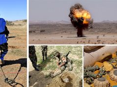 MINES ANTIPERSONNEL : La résolution présentée par l’Algérie adoptée haut la main à Genève