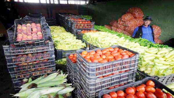 Pour stabiliser les prix des produits agricoles : Vers une généralisation de la vente directe à Oran