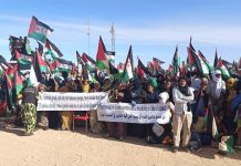 SAHARA OCCIDENTAL : Le front de rejet du projet US s’élargit