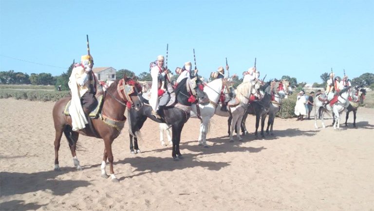Coup d’envoi du deuxième festival national du cheval algérien à Oran