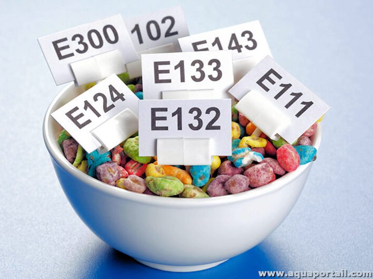 Université d’été de la FAC à Béjaïa : Les risques des additifs alimentaires sur la santé abordés