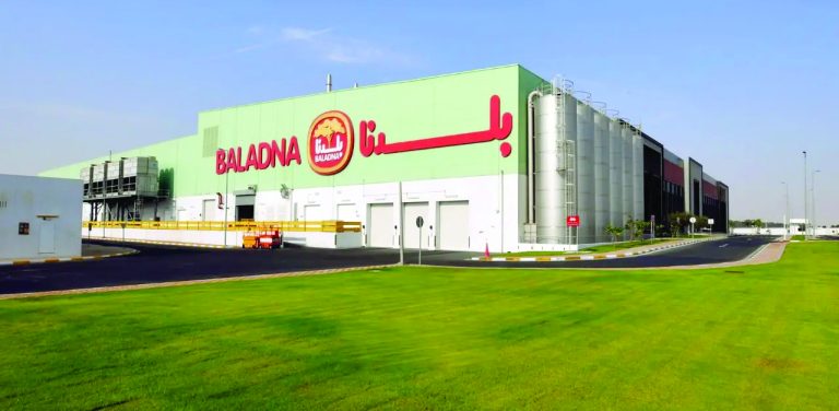 RÉALISATION DU MÉGAPROJET « BALADNA » : Le défi de la coordination entre les intervenants