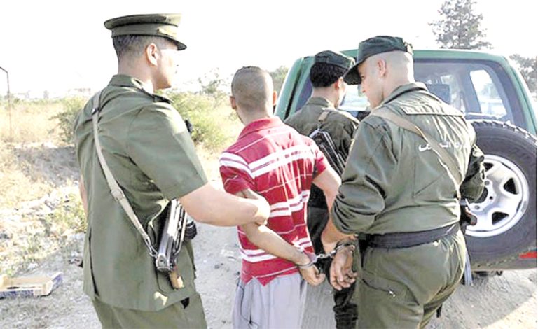 Arrestation d&rsquo;un individu pour trafic de charbon de bois à Alger