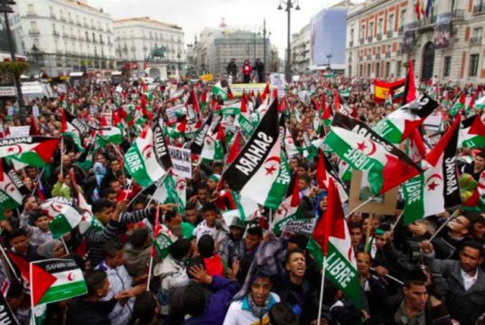ESPAGNE : Des activistes et intellectuels défendent le droit du peuple sahraoui à l’autodétermination